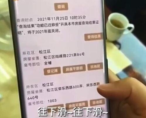 小刘爆料视频,事件背后惊人真相