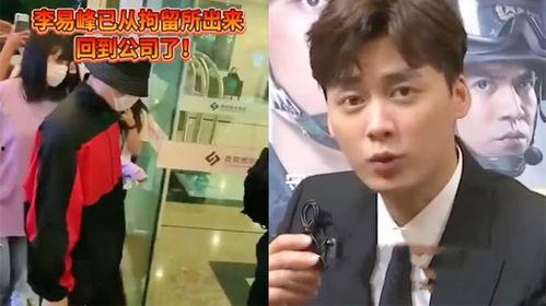 爆料视频李易峰最新版,揭秘明星私生活与事业新动向